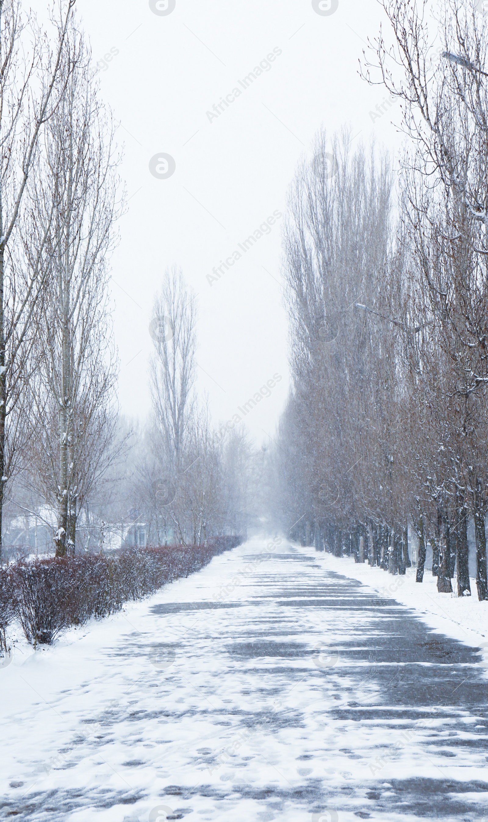 Photo of Winter city park with path on snow day