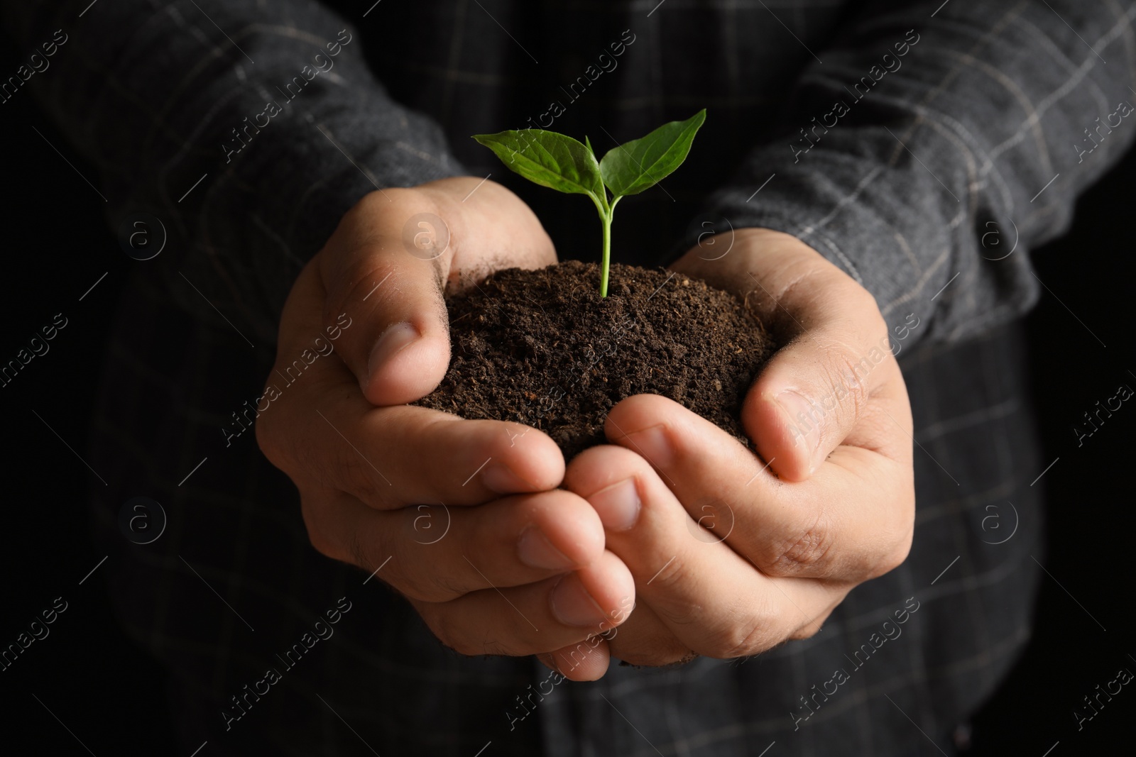 Photo of Man holding pile of soil and seedling, closeup