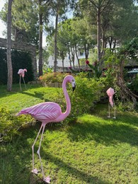 Decorative pink flamingoes in beautiful hotel backyard with tropical trees and plants outdoors