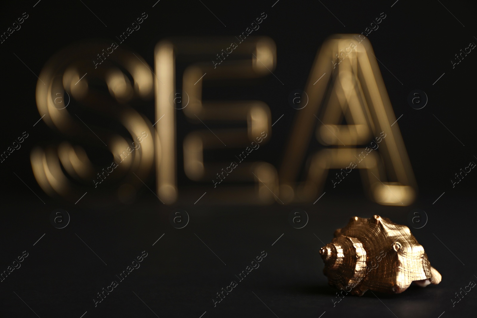 Photo of Shiny gold seashell on black background. Space for text