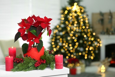 Photo of Potted poinsettia, burning candles and festive decor on white dresser in room, space for text. Christmas traditional flower