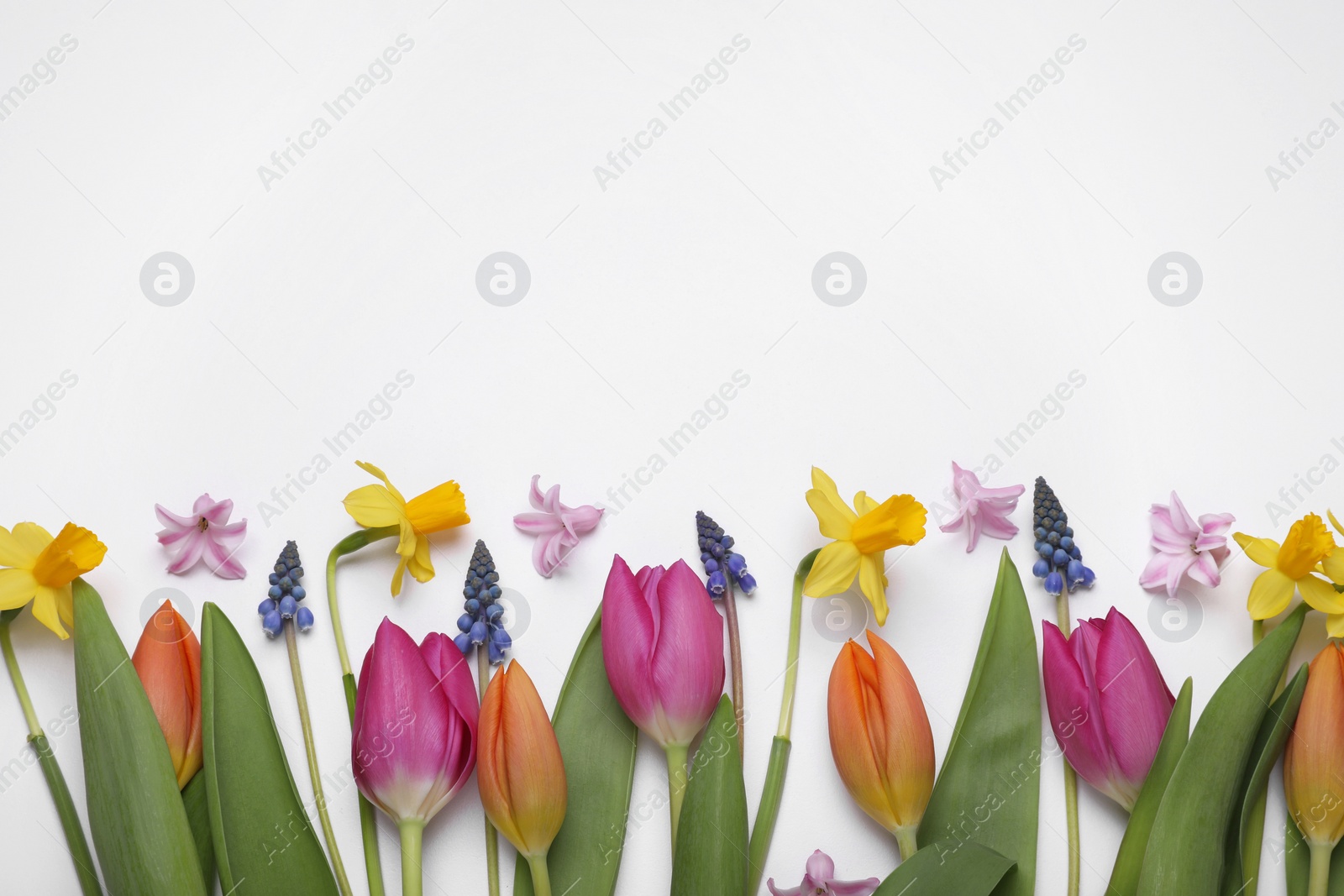 Photo of Beautiful flowers on white background, flat lay. Space for text