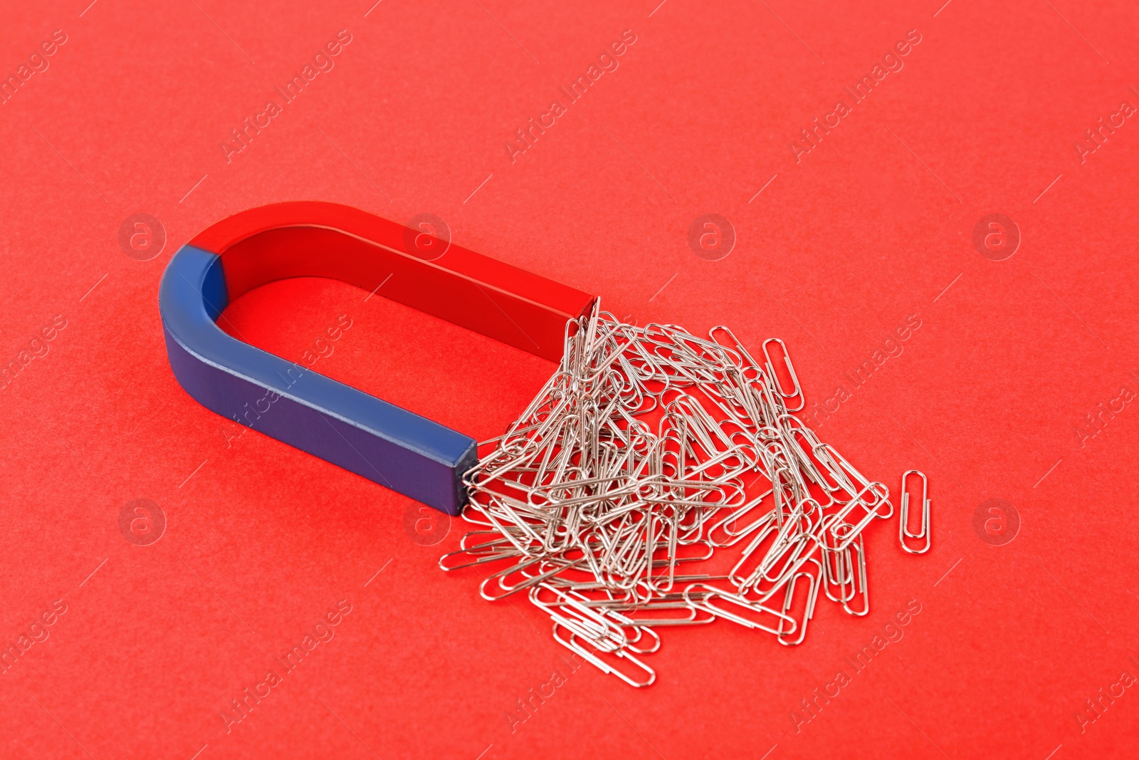 Photo of Magnet attracting paper clips on red background