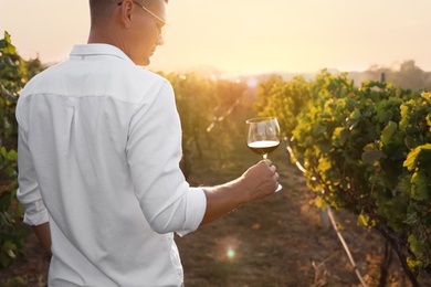 Photo of Handsome man with glass of wine in vineyard on sunny day, back view