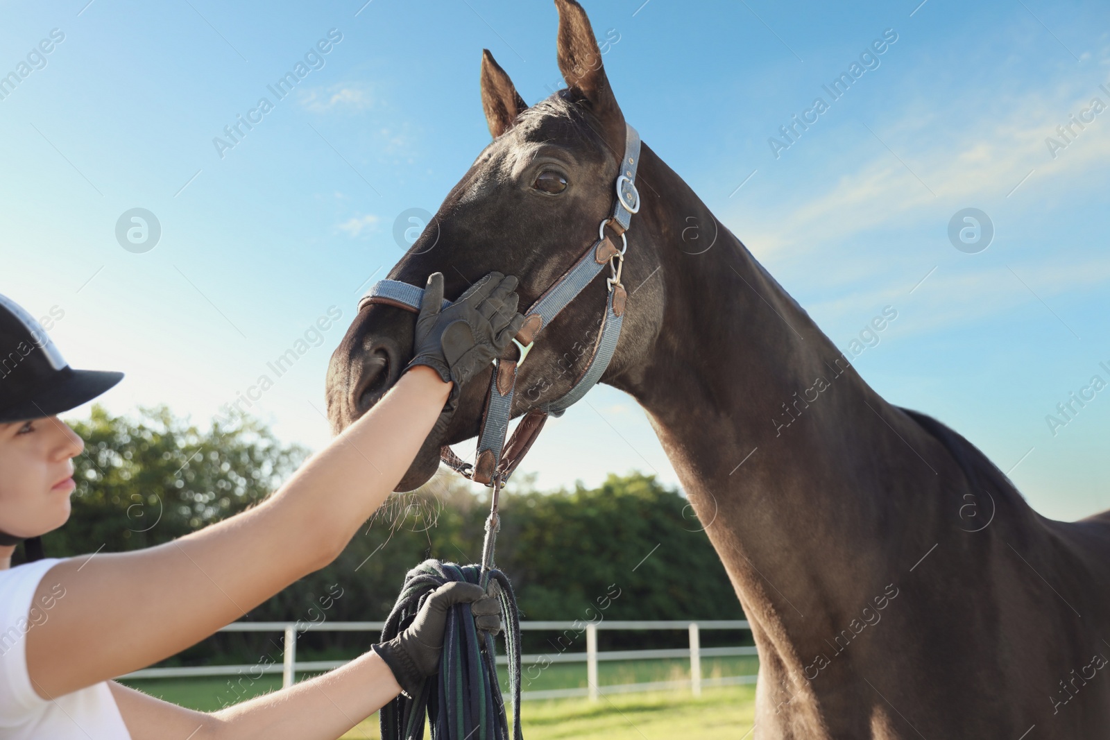 Photo of Young woman in horse riding suit and her beautiful pet outdoors on sunny day