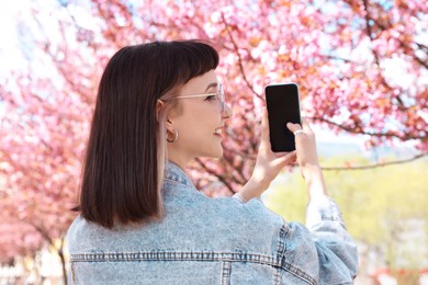 Beautiful young woman taking picture of blossoming sakura tree in park