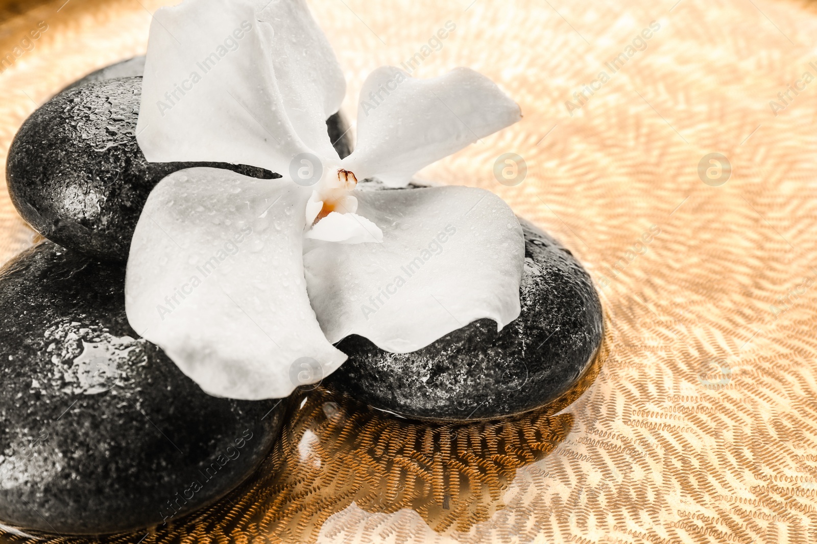 Photo of Stones and orchid flower in water, closeup. Zen lifestyle