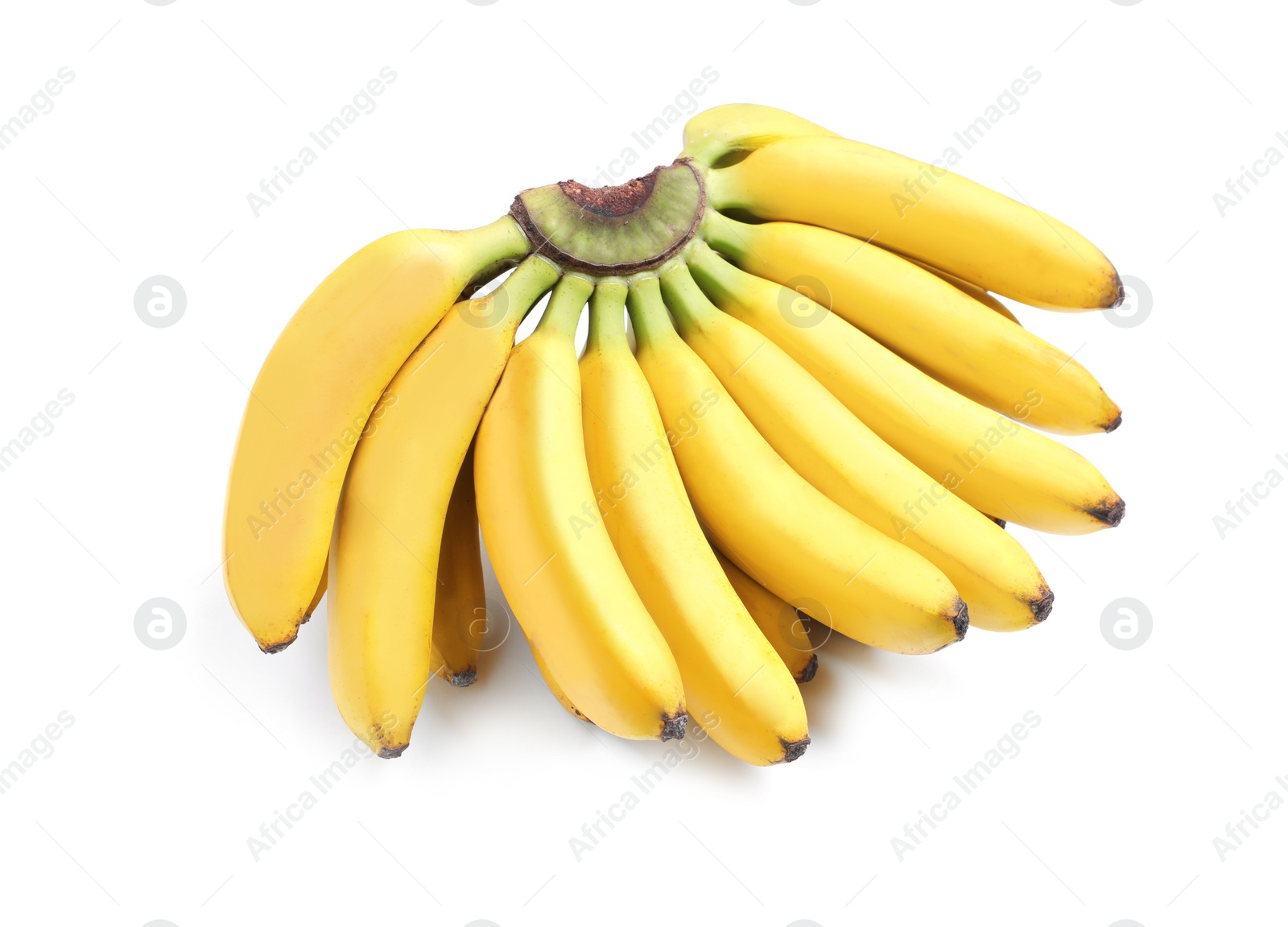 Photo of Bunch of ripe baby bananas on white background