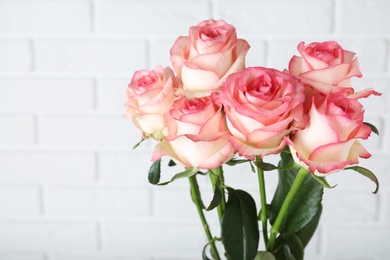 Photo of Beautiful pink roses near white brick wall, closeup