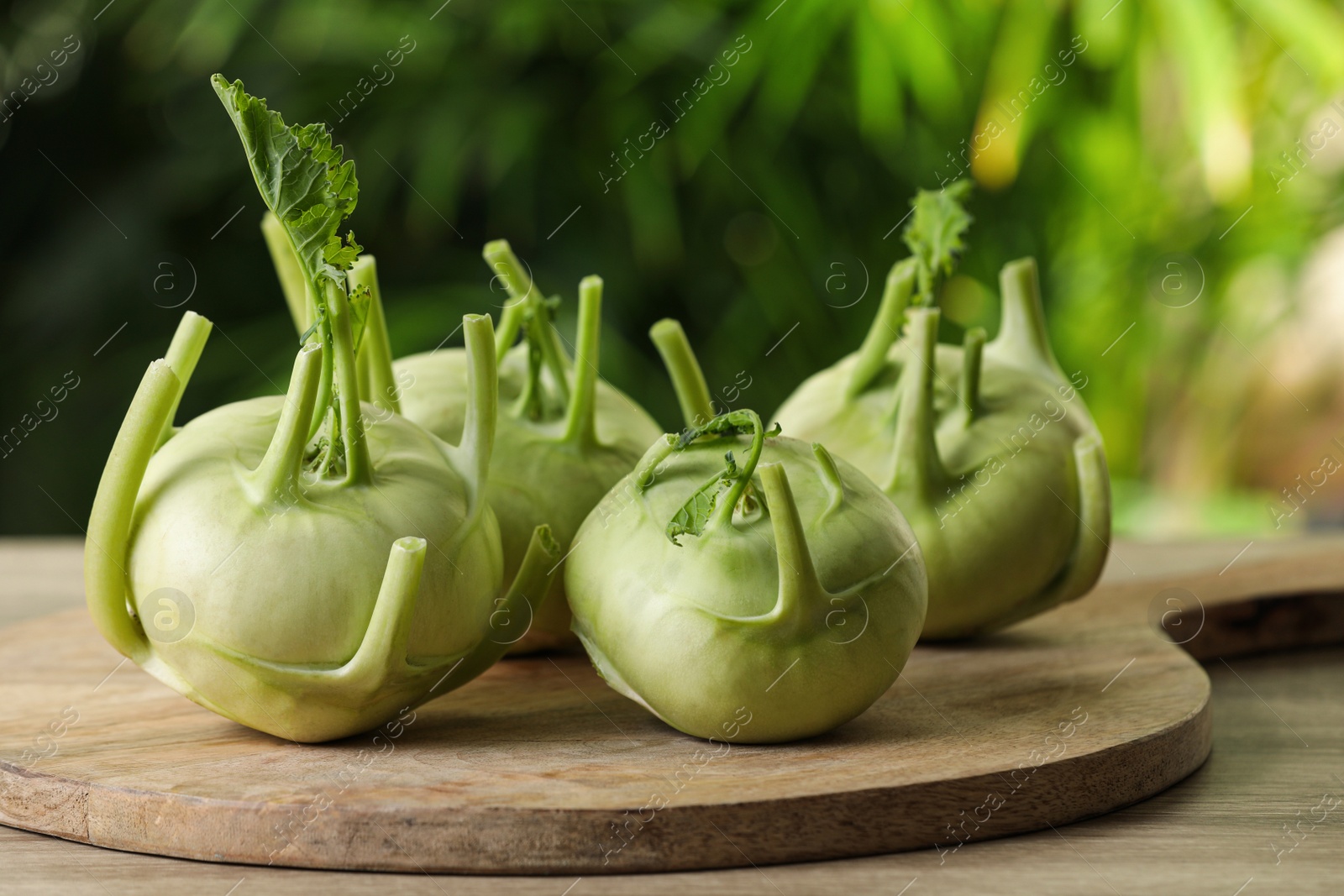 Photo of Whole ripe kohlrabi plants on wooden table