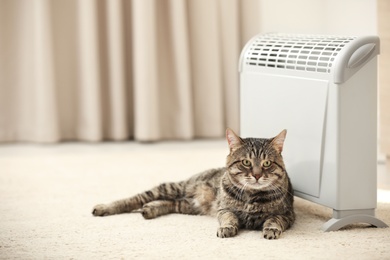 Photo of Cute tabby cat near electric heater at home. Space for text