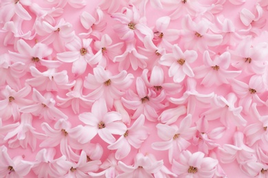 Pile of spring hyacinth flowers on color background, closeup