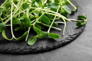Photo of Fresh microgreen on black slate table, closeup