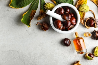 Photo of Flat lay composition with fresh horse chestnuts and extract on grey table. Space for text