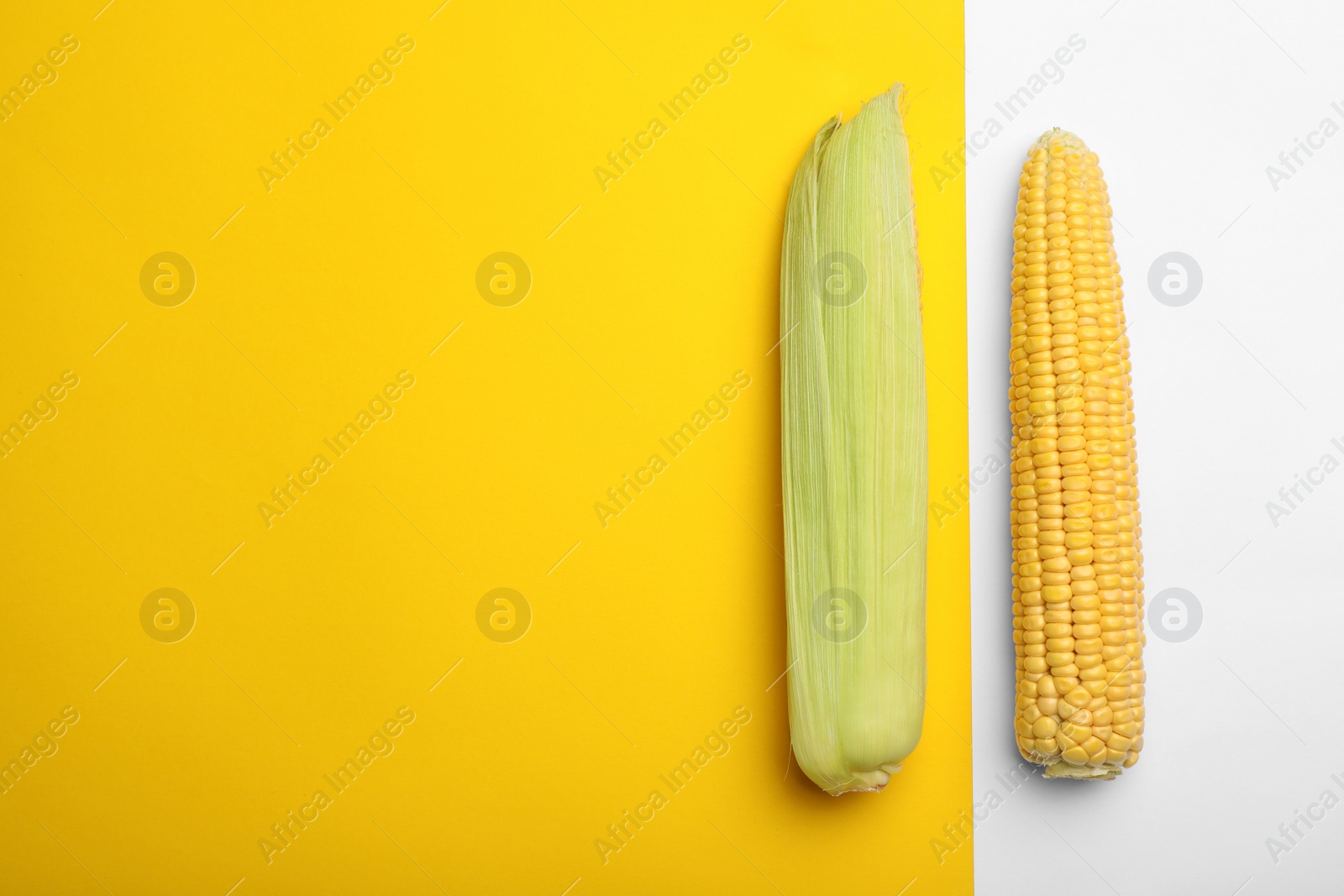 Photo of Flat lay composition with tasty sweet corn cobs on color background