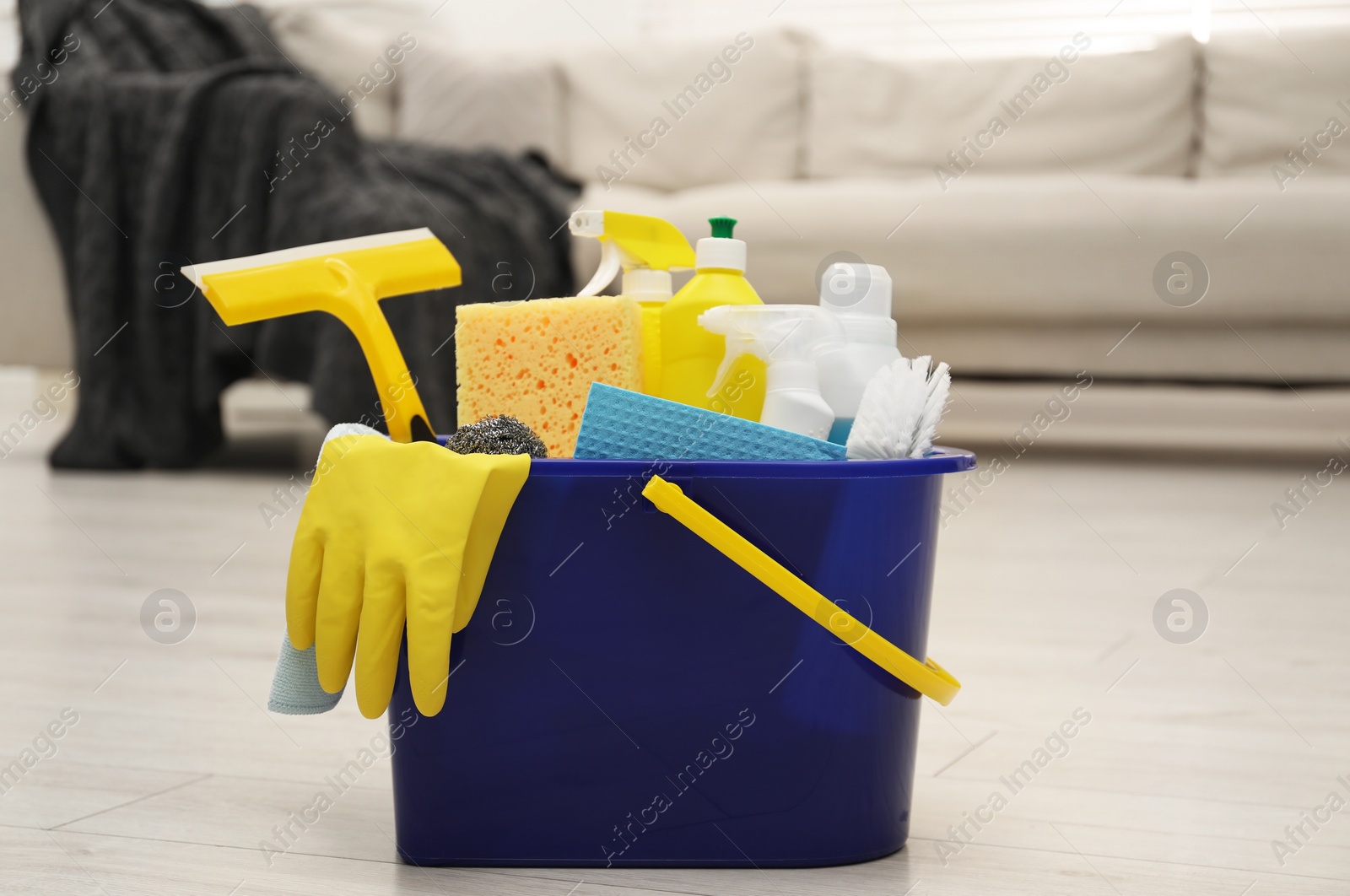 Photo of Different cleaning supplies in bucket on floor at home