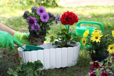 Photo of Gardener planting flowers in pot outdoors, closeup