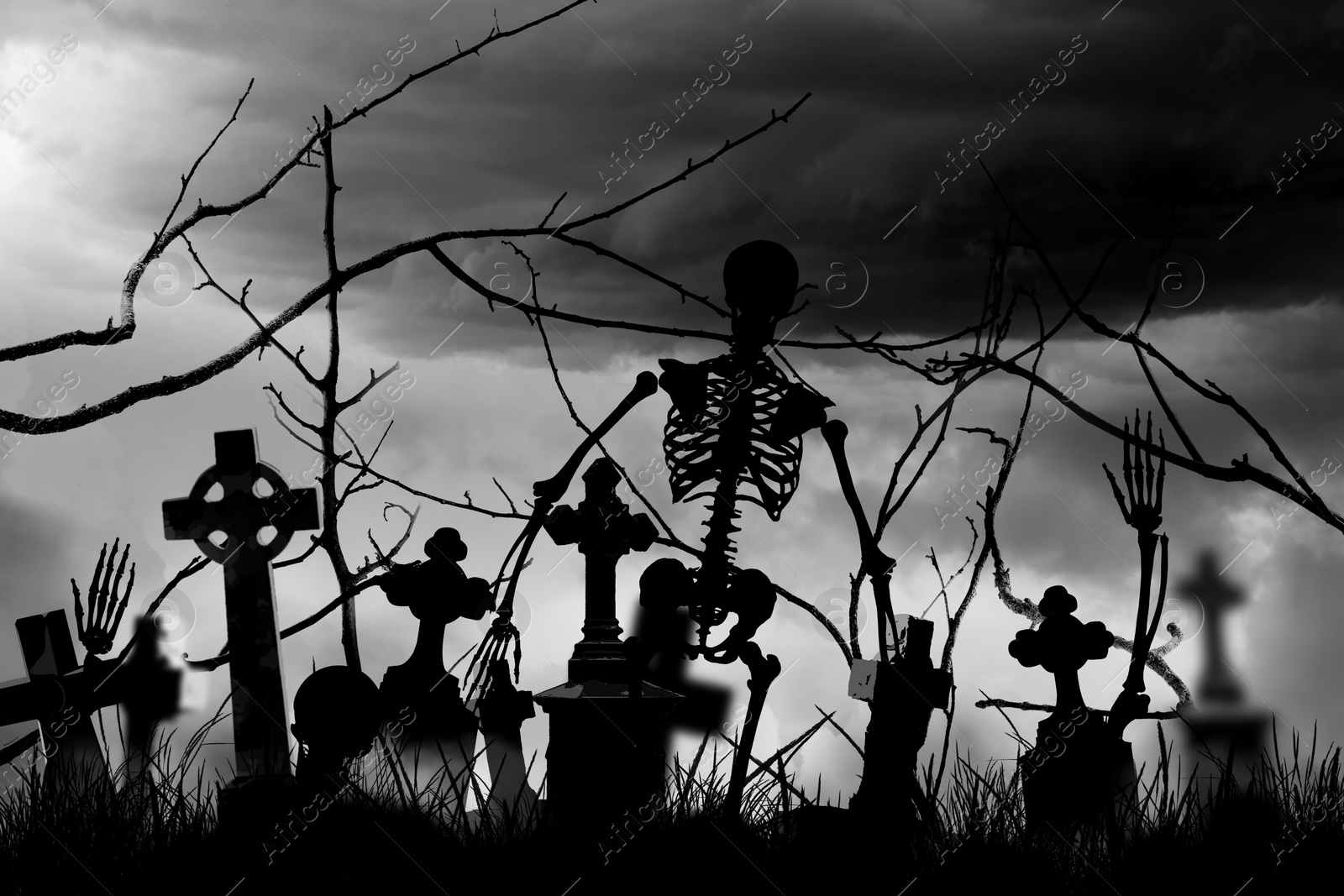 Image of Scary skeleton at misty cemetery in night