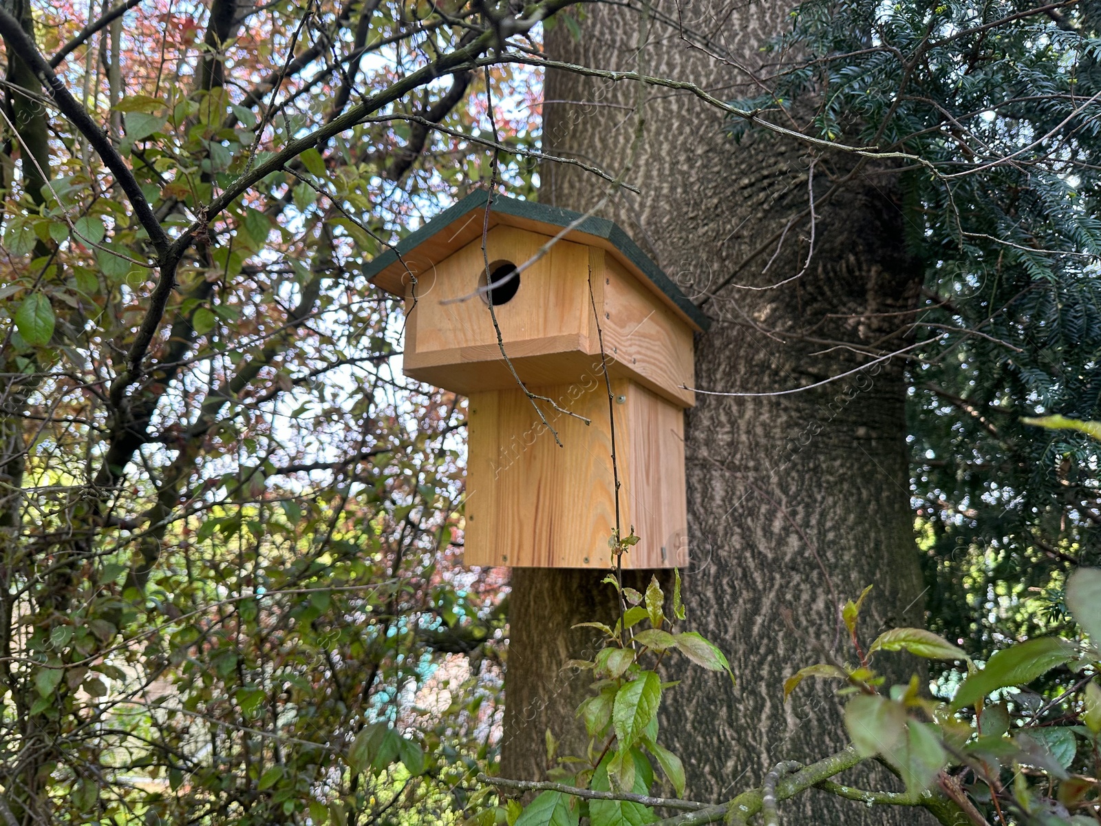 Photo of Beautiful wooden birdhouse hanging on tree trunk in park