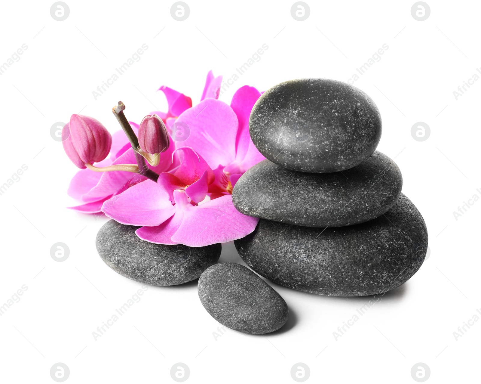 Photo of Spa stones and orchid flowers on white background