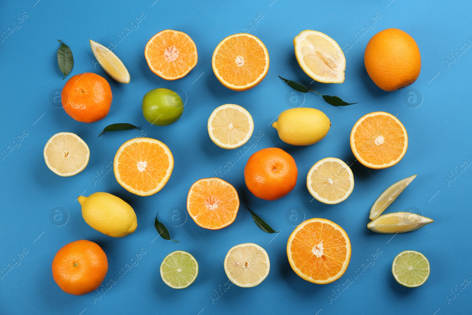 Photo of Flat lay composition with tangerines and different citrus fruits on blue background