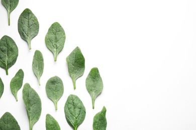 Fresh green healthy spinach leaves on white background, top view