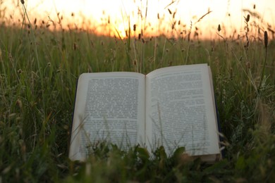 Photo of Open book on green grass in field at sunset