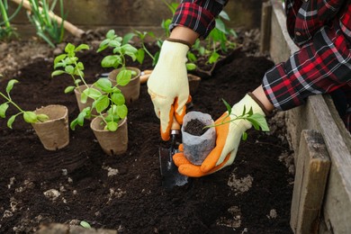Photo of Woman planting seedling in soil outdoors, closeup