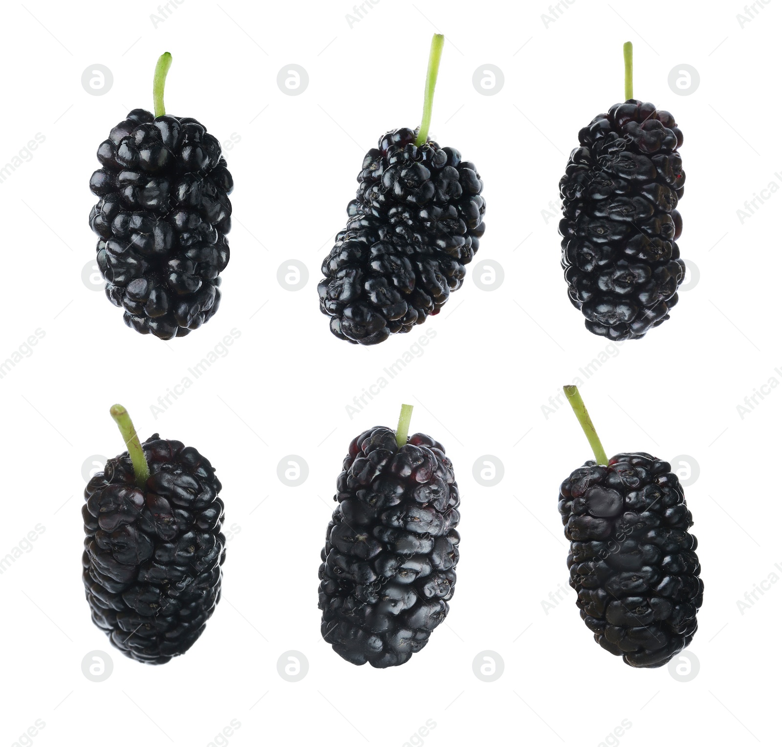 Image of Set with fresh ripe black mulberries on white background