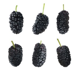 Set with fresh ripe black mulberries on white background