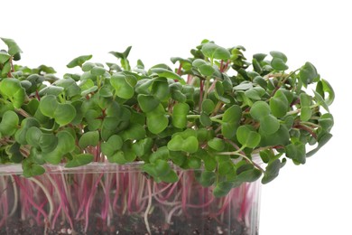 Photo of Fresh radish microgreens in plastic container on white background