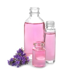 Photo of Bottles of essential oil and lavender flowers isolated on white