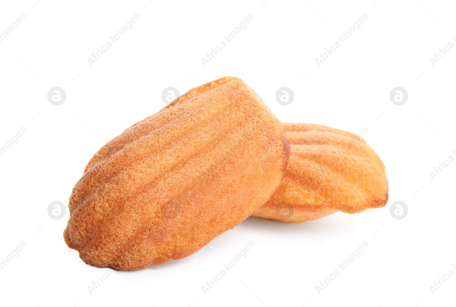 Photo of Delicious homemade madeleine cakes on white background