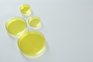 Photo of Petri dishes with yellow liquid on white table