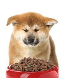 Cute Akita Inu puppy and feeding bowl with dog food on white background