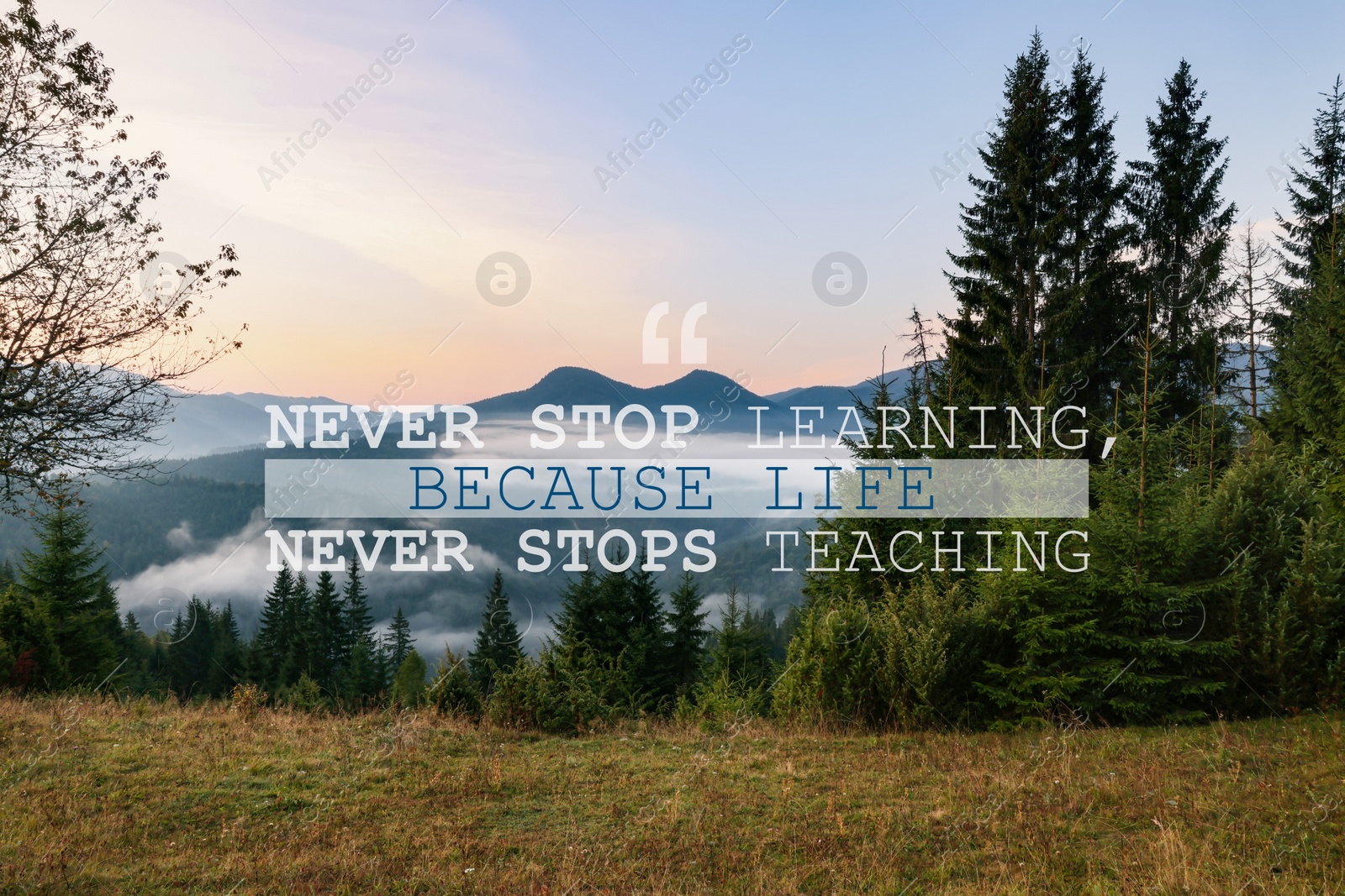 Image of Never Stop Learning, Because Life Never Stops Teaching. Motivational quote saying that knowledge comes from everywhere every day. Text against beautiful mountain landscape