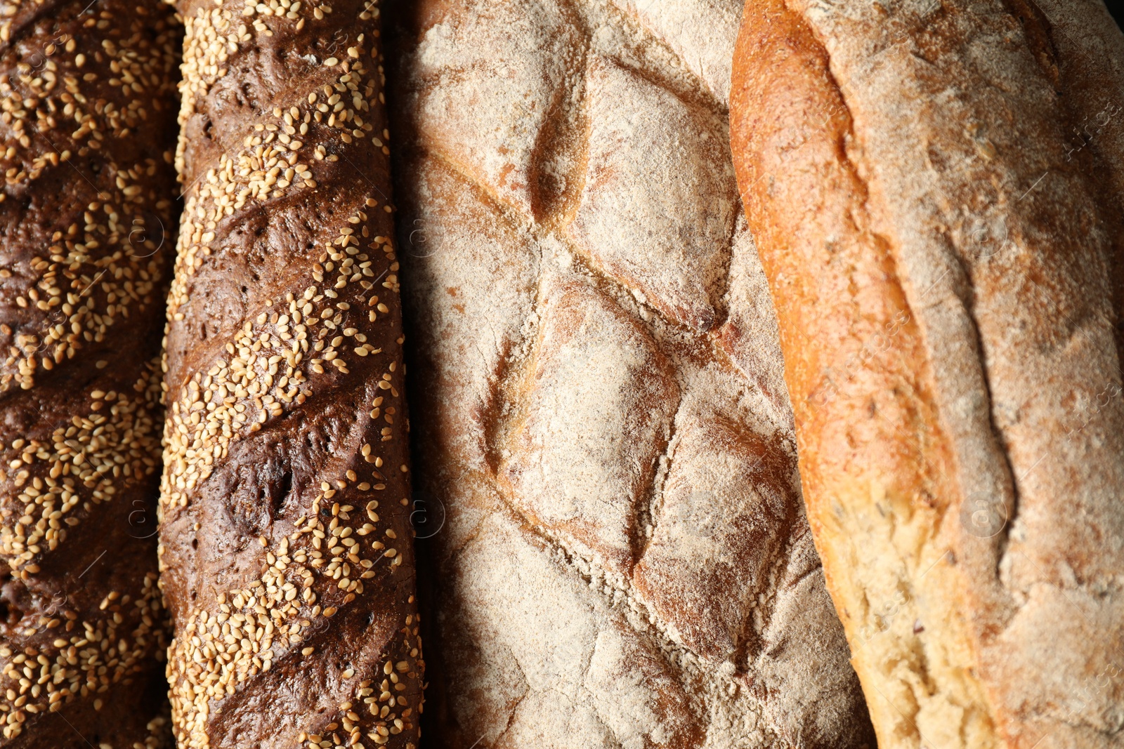Photo of Different types of fresh bread as background, top view