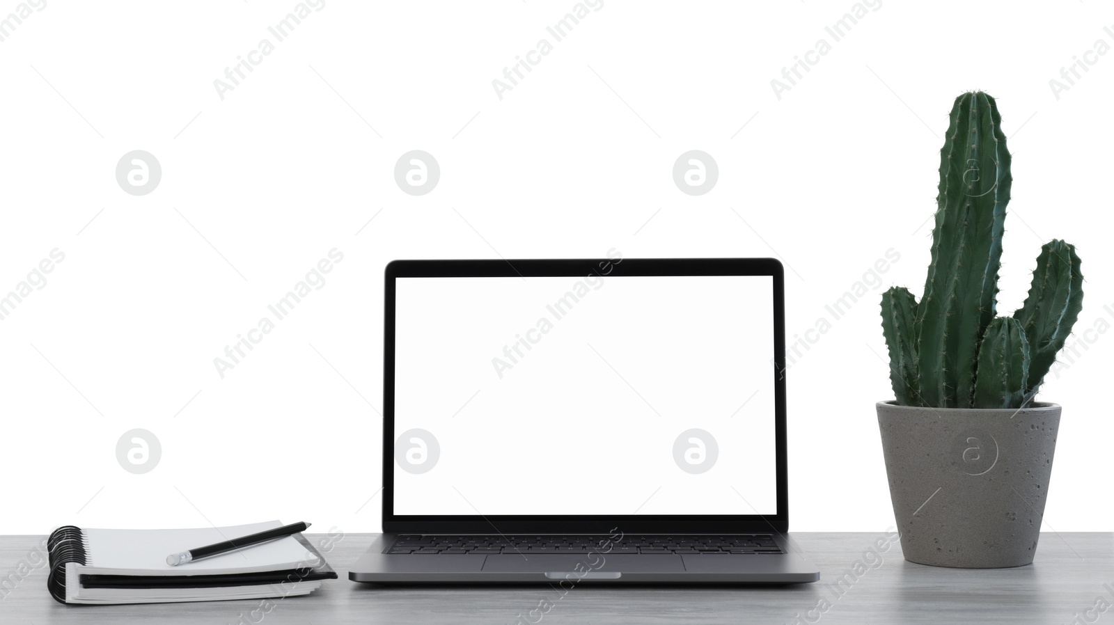 Photo of Laptop, potted cactus and notebook on table against white background. Stylish workplace
