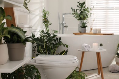 Stylish white bathroom interior with toilet bowl and green houseplants