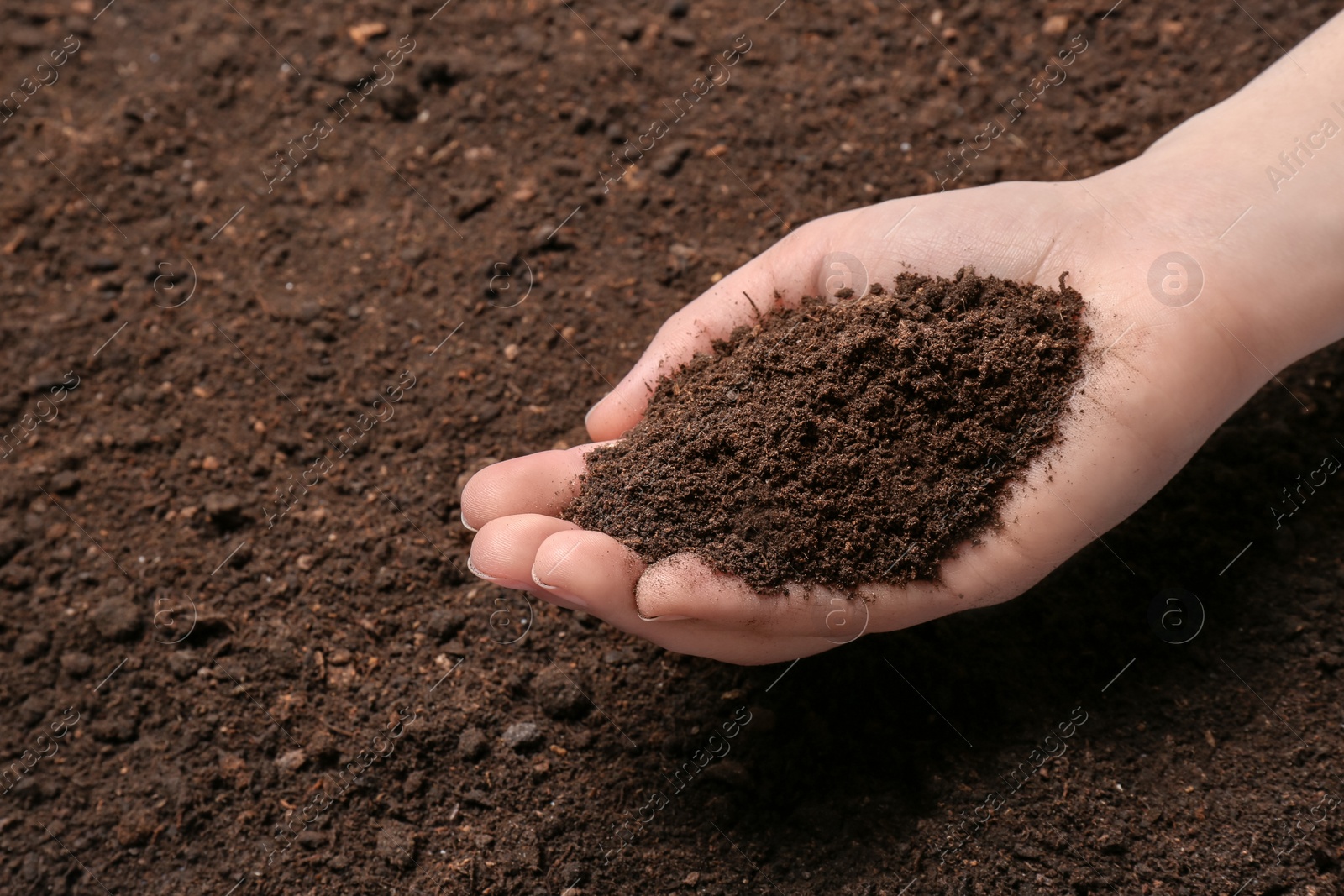 Photo of Woman holding pile of soil above ground, closeup. Space for text