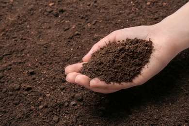 Woman holding pile of soil above ground, closeup. Space for text