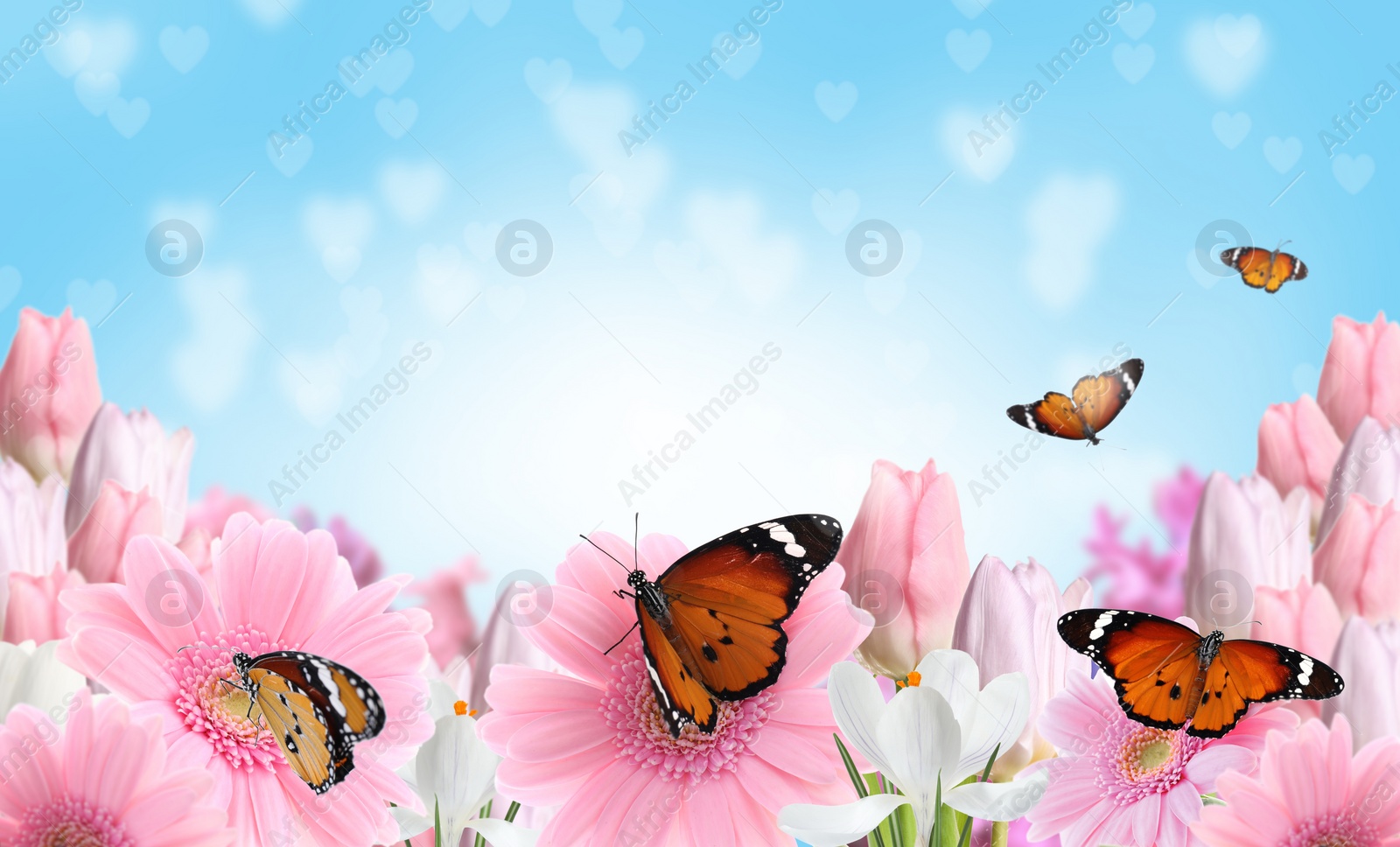 Image of Beautiful blooming flowers and painted lady butterflies 