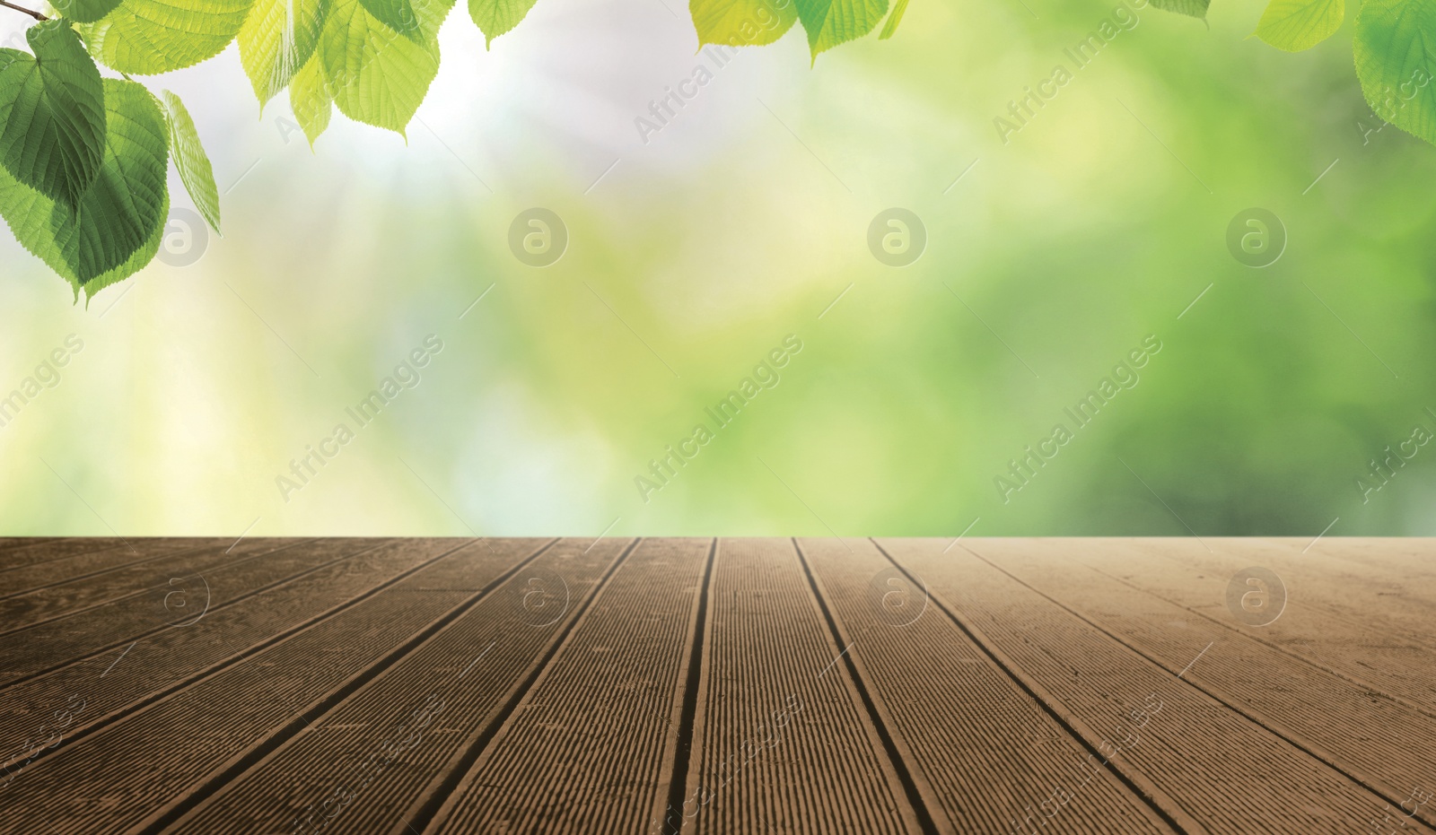 Image of Empty wooden surface and beautiful green leaves on blurred background. Bokeh effect