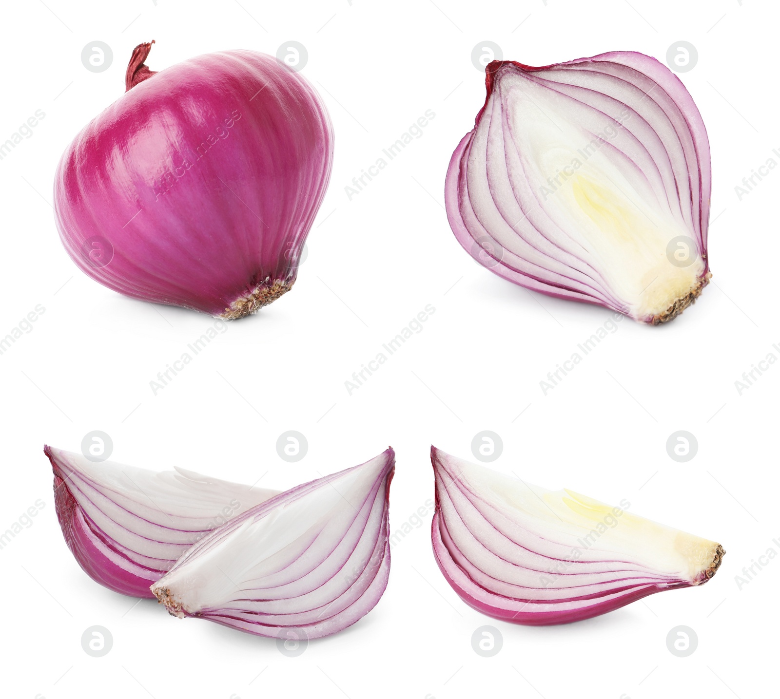 Image of Set of red cut and whole onion on white background