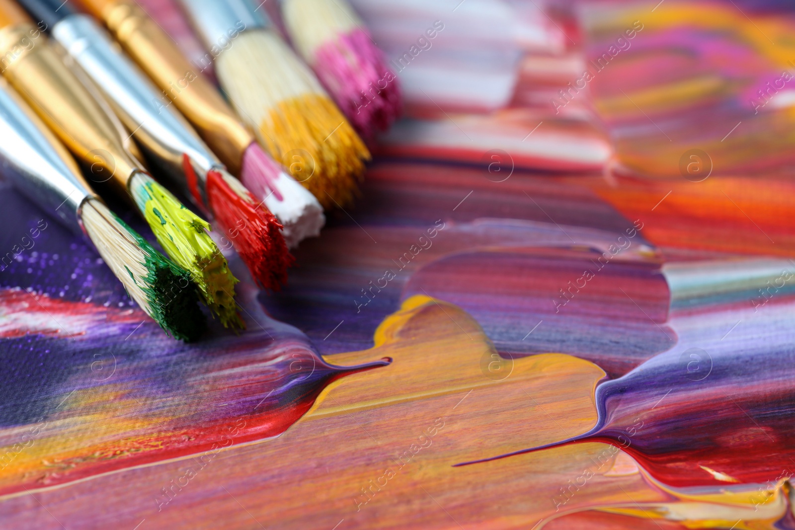 Photo of Set of different brushes on abstract colorful paint, closeup