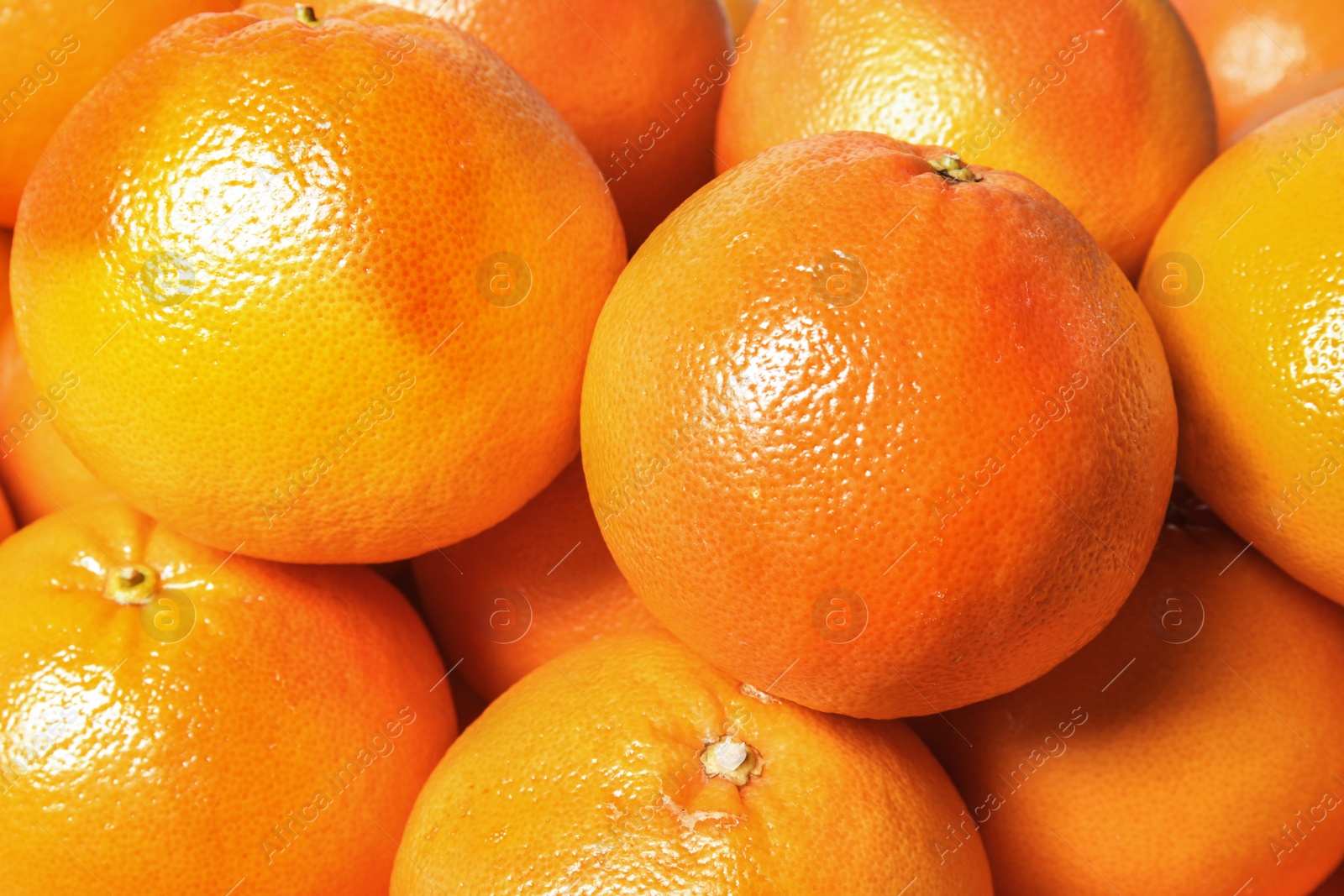 Photo of Many whole fresh ripe grapefruits as background, closeup