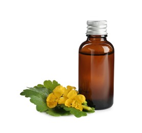 Photo of Bottle of celandine tincture and plant on white background