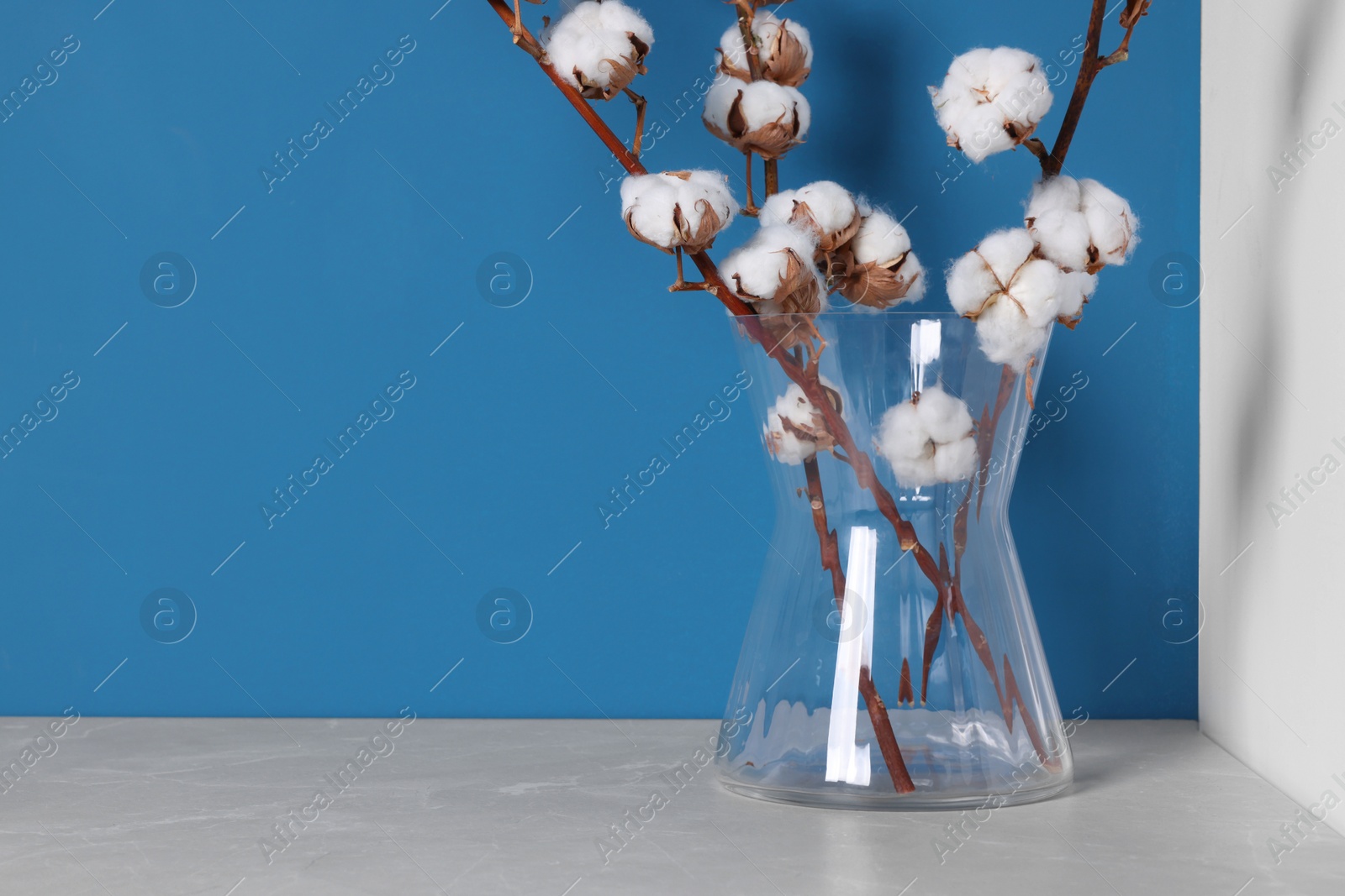 Photo of Cotton branches with fluffy flowers in vase on grey table indoors. Space for text