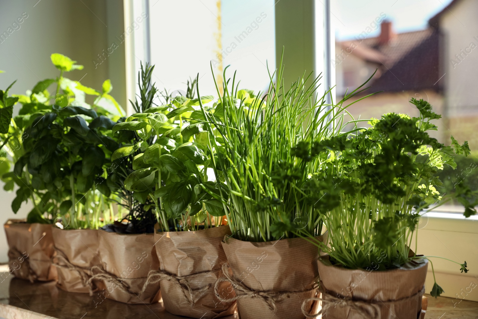 Photo of Different aromatic potted herbs on windowsill indoors