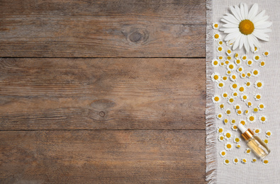 Photo of Chamomile oil and flowers on wooden table, top view. Space for text